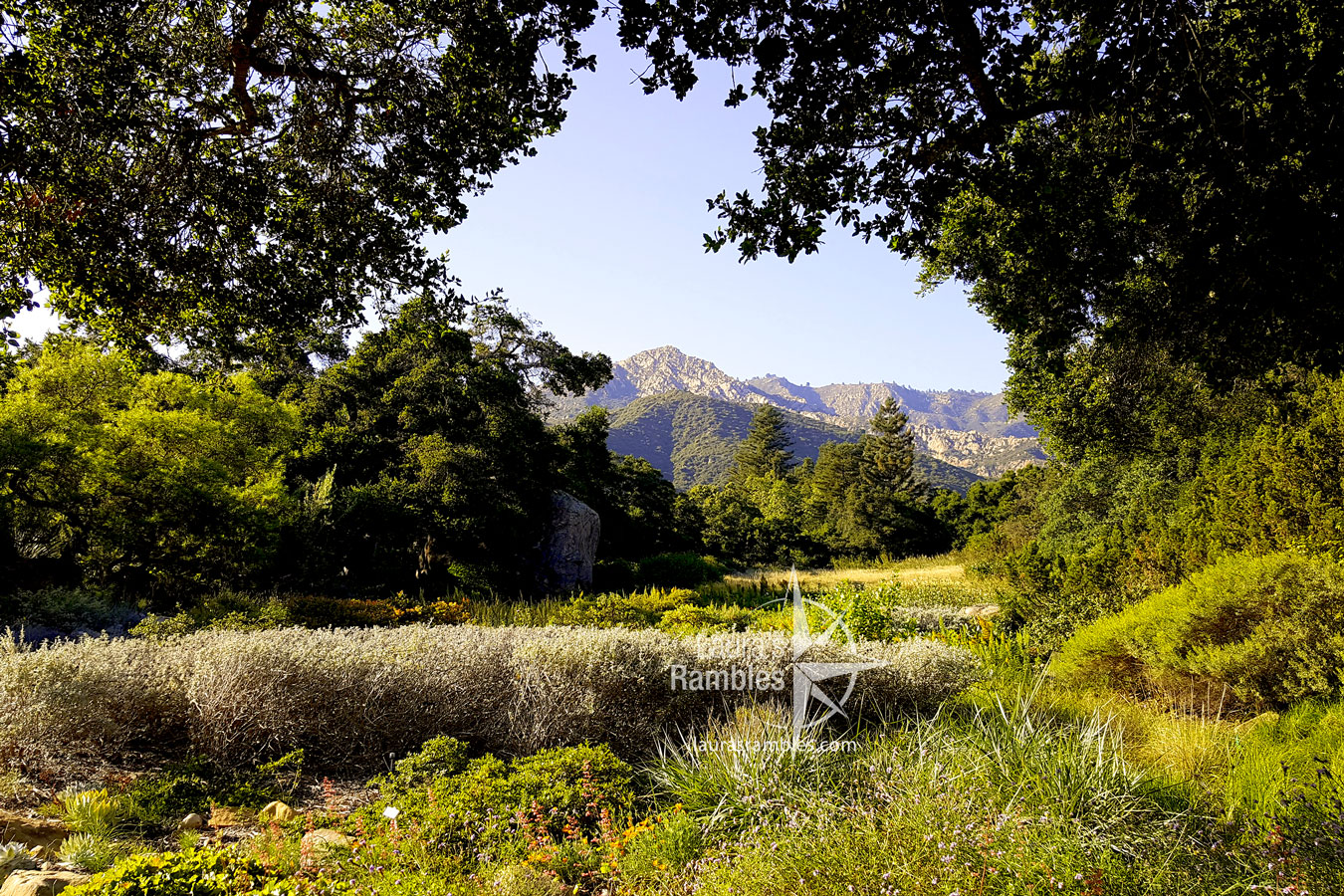 Santa Barbara Botanic Garden