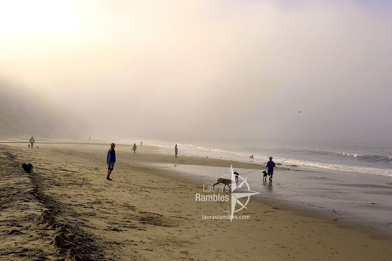 Santa Barbara, CA: Arroyo beach county park. Dogs Playing in morning mist.