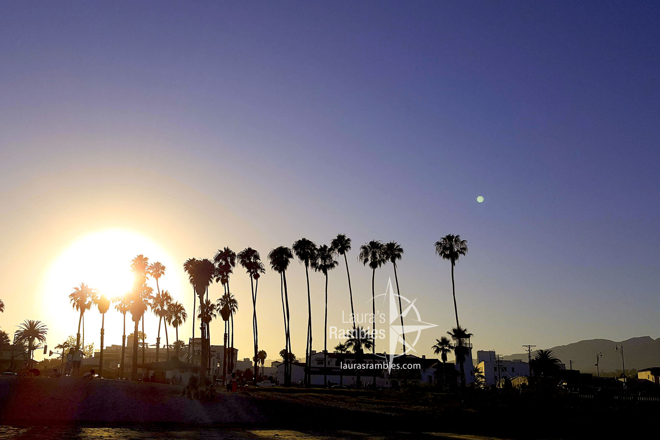 Santa Barbara Palm trees at sunset