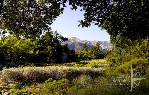 First view when you enter the botanic garden - mountains and trees