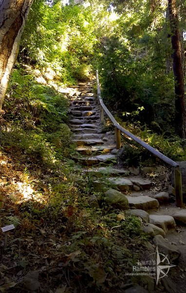 One of the whimsical paths in the garden