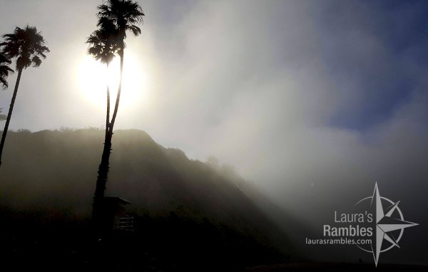 Misty mornings on Arroyo Burro Beach