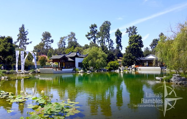 Japanese Garden at The Huntington - I could have hung out in this peaceful garden all day